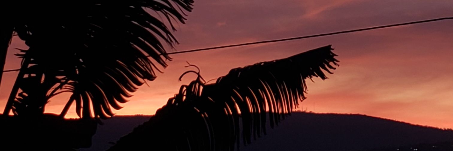 NadineManzi's profile banner image
