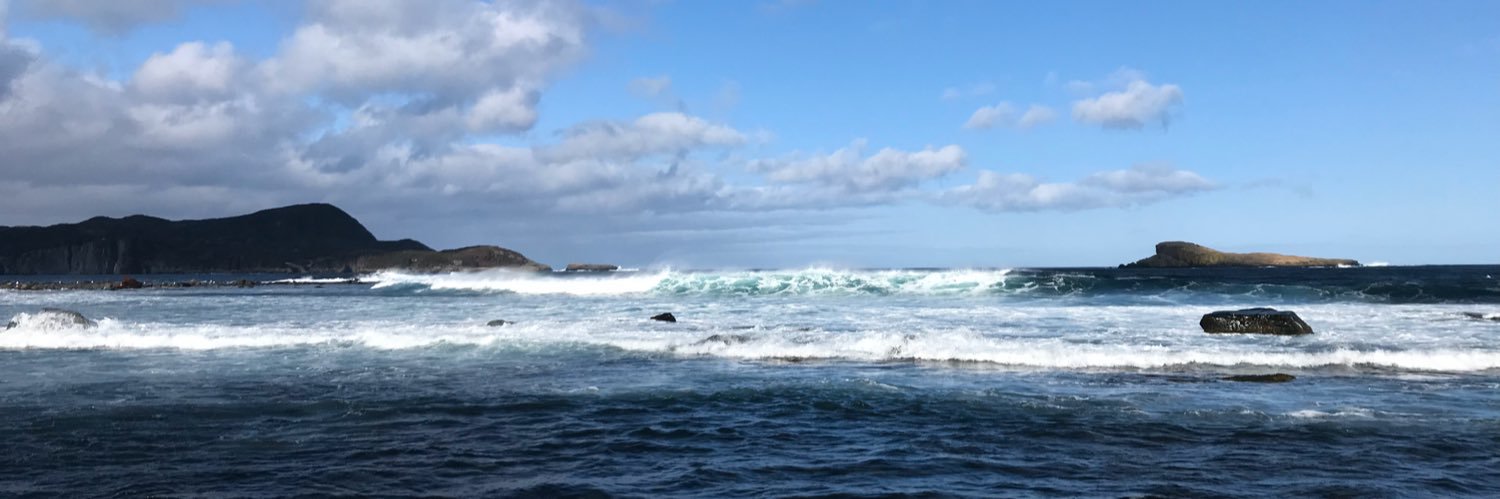 Straight-Goods banner