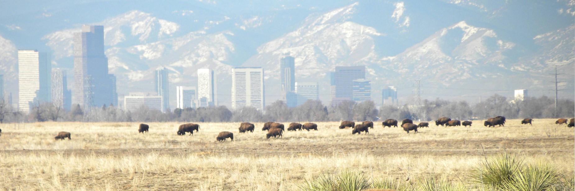 FriendsofRMANWR banner