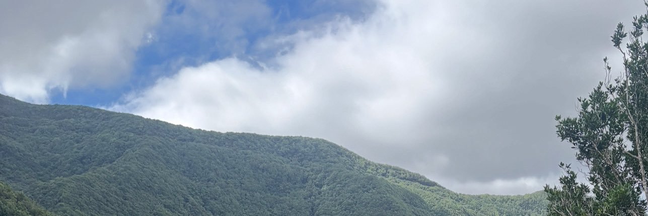 Lau ♡ NAUFRAGÉ ♣️ banner