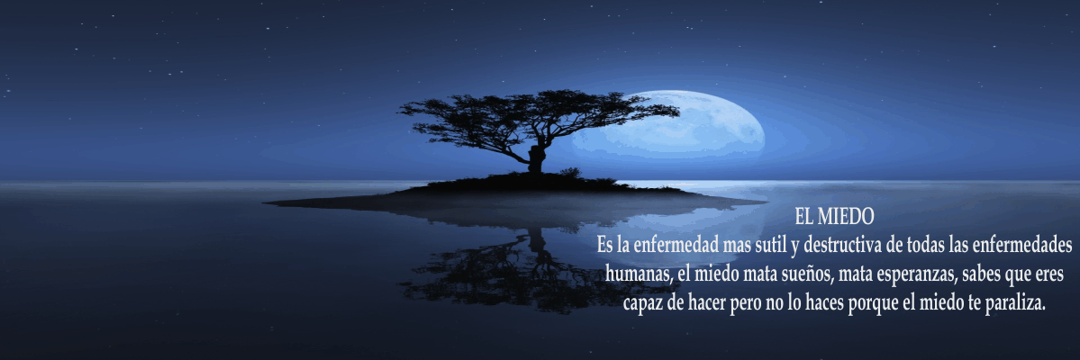 ocacaroca's profile banner image