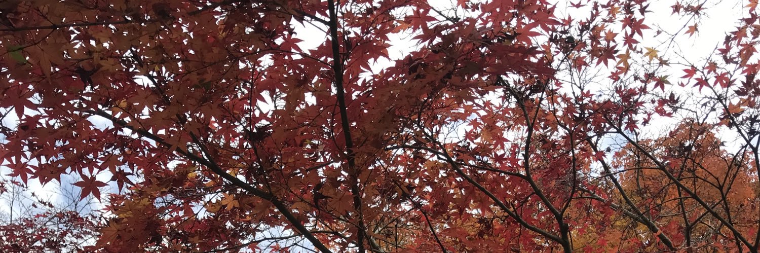 Bu_teeeN's profile banner image