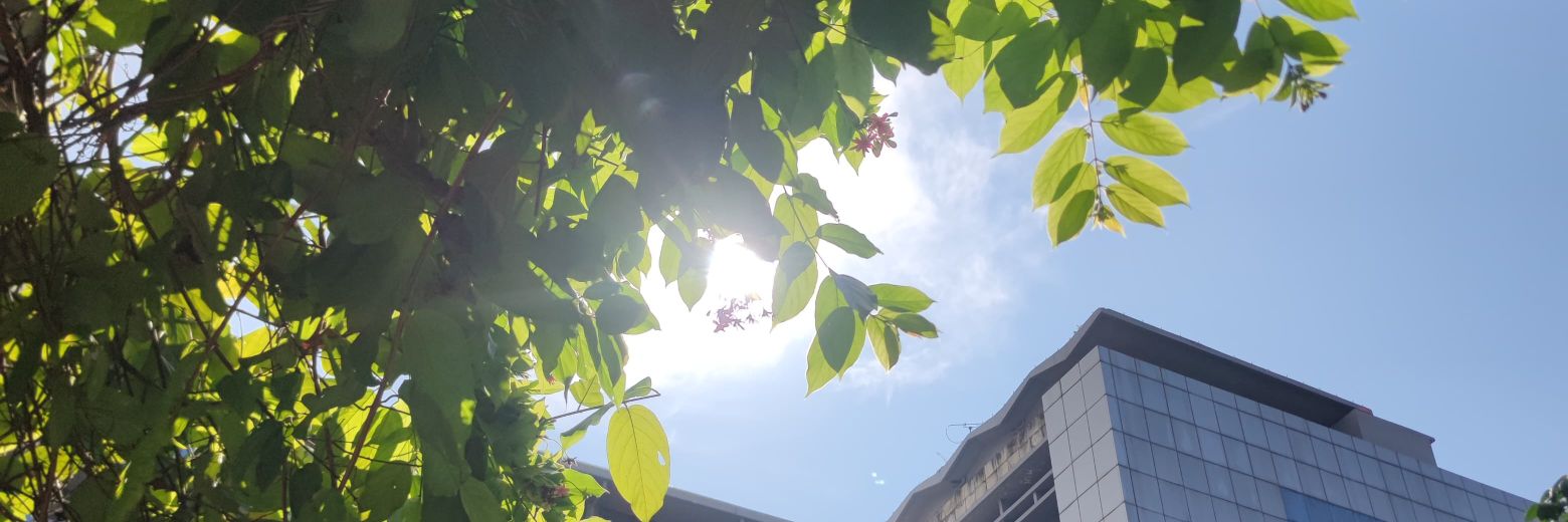 lala .☘︎ ݁˖ banner