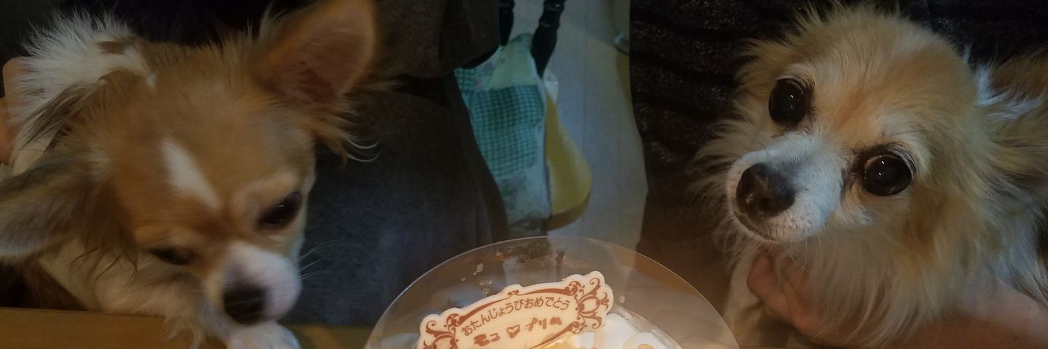 hanamoco37's profile banner image