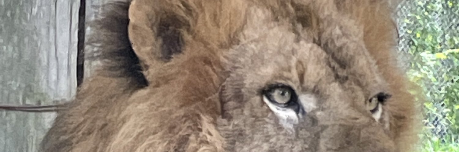 hitottobiman's profile banner image