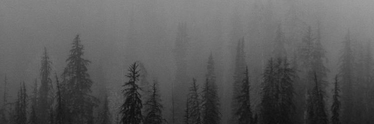 istiqomahnhm's profile banner image