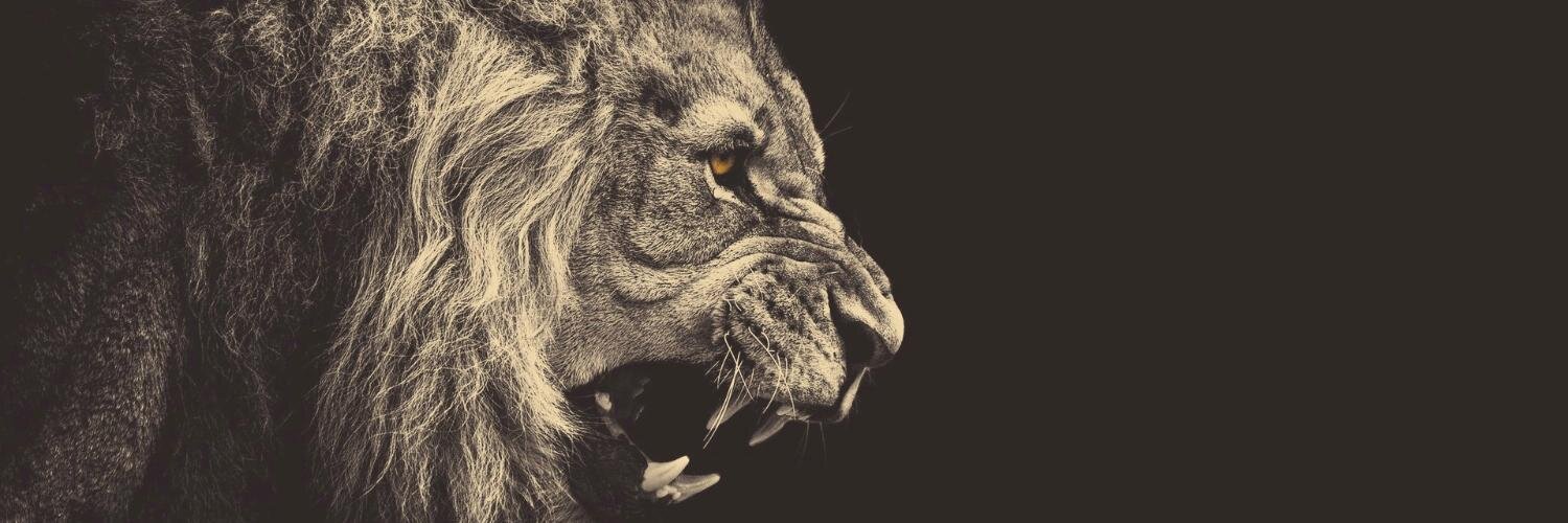 _closr's profile banner image