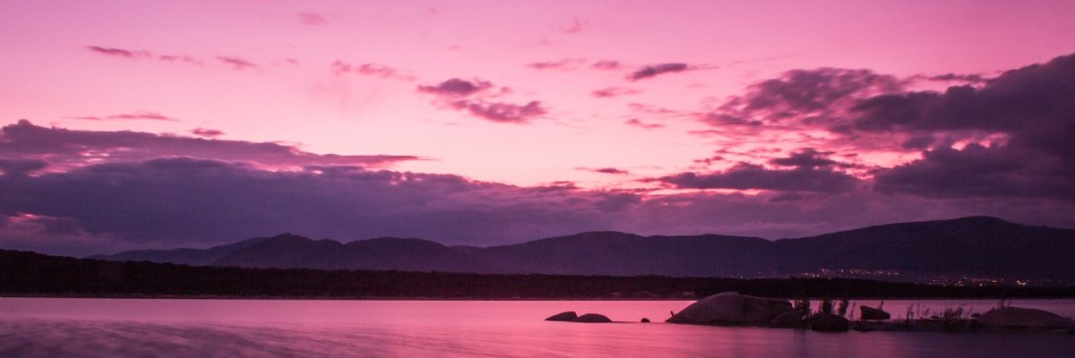 Conita 🌷 banner