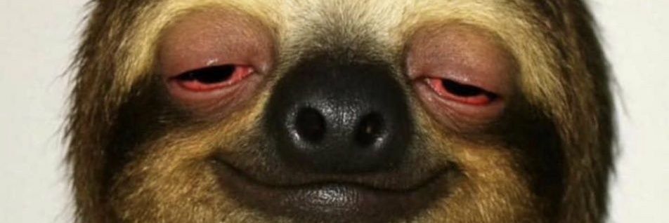 macrit🗣💨ℹ banner