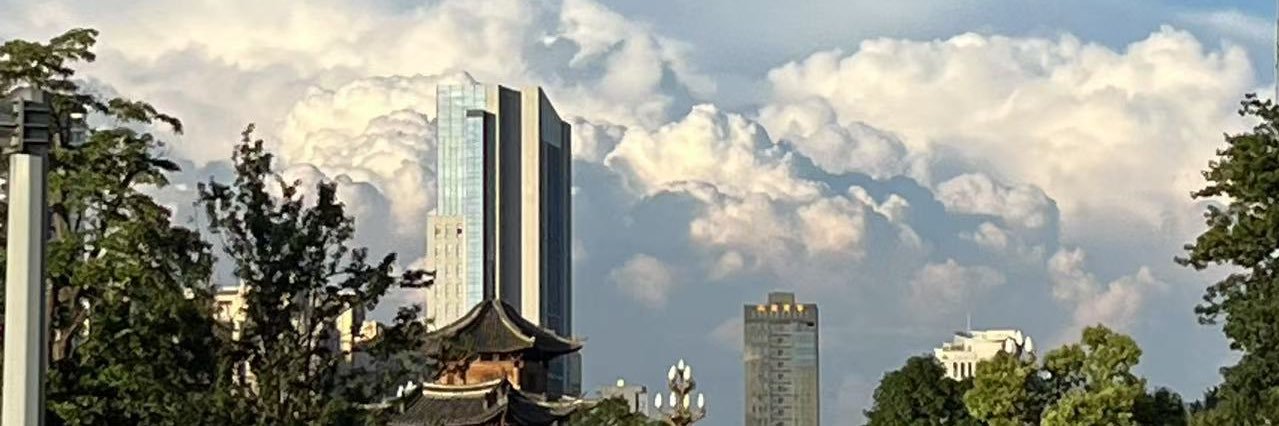 陈树 banner