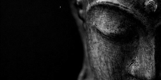 Scott Hardester banner