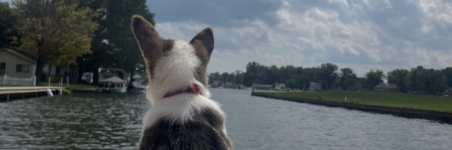lexivdw's profile banner image