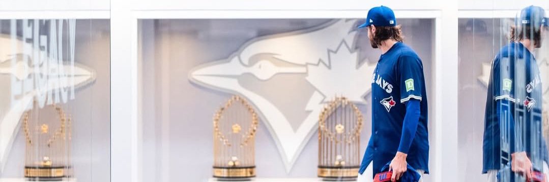 goosey banner