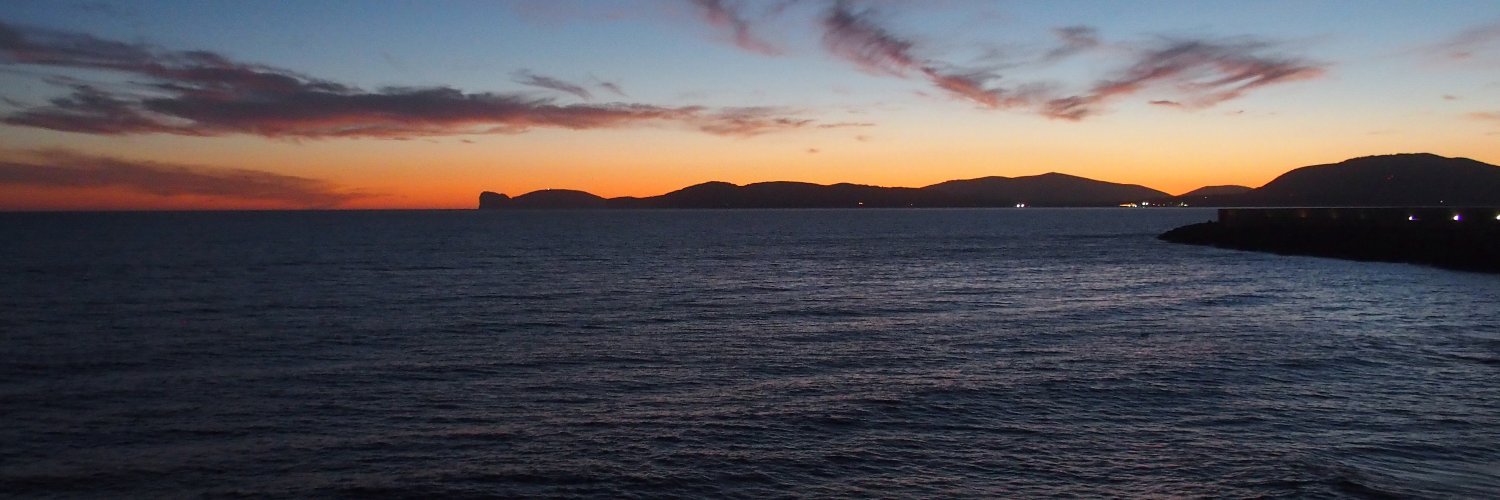 Yolanda Monerris banner