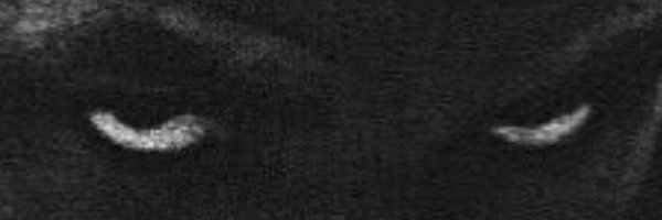 _ALL_KNOWING Profile Banner
