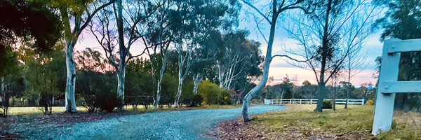 CeciliaJacob_IR Profile Banner