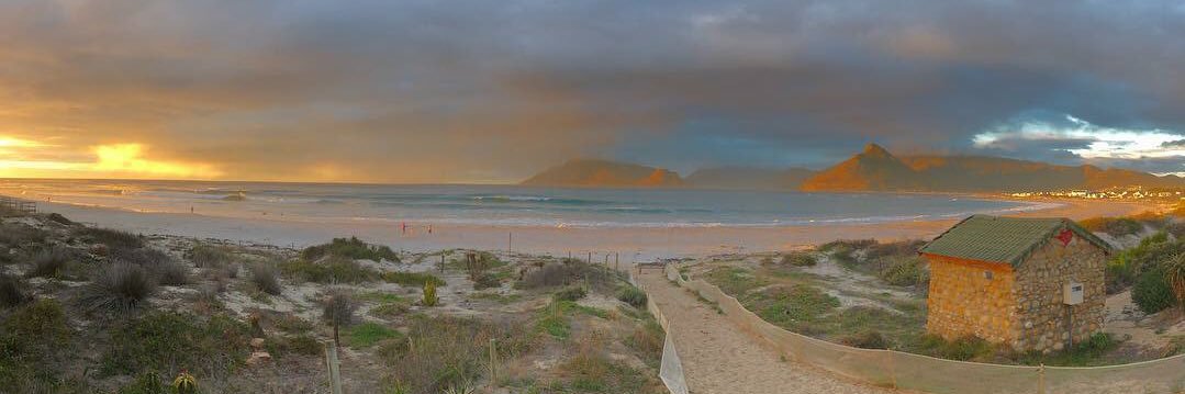 Tammy Baillie-Stanton banner