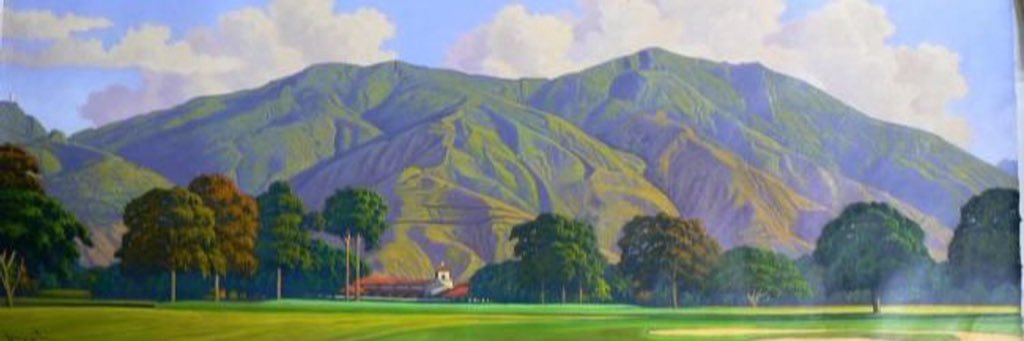 Miguel Truzman banner