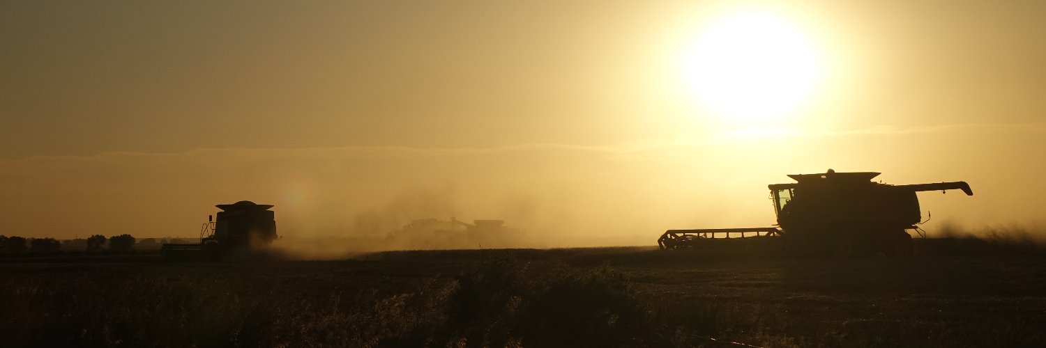 Tracy Scheffler banner