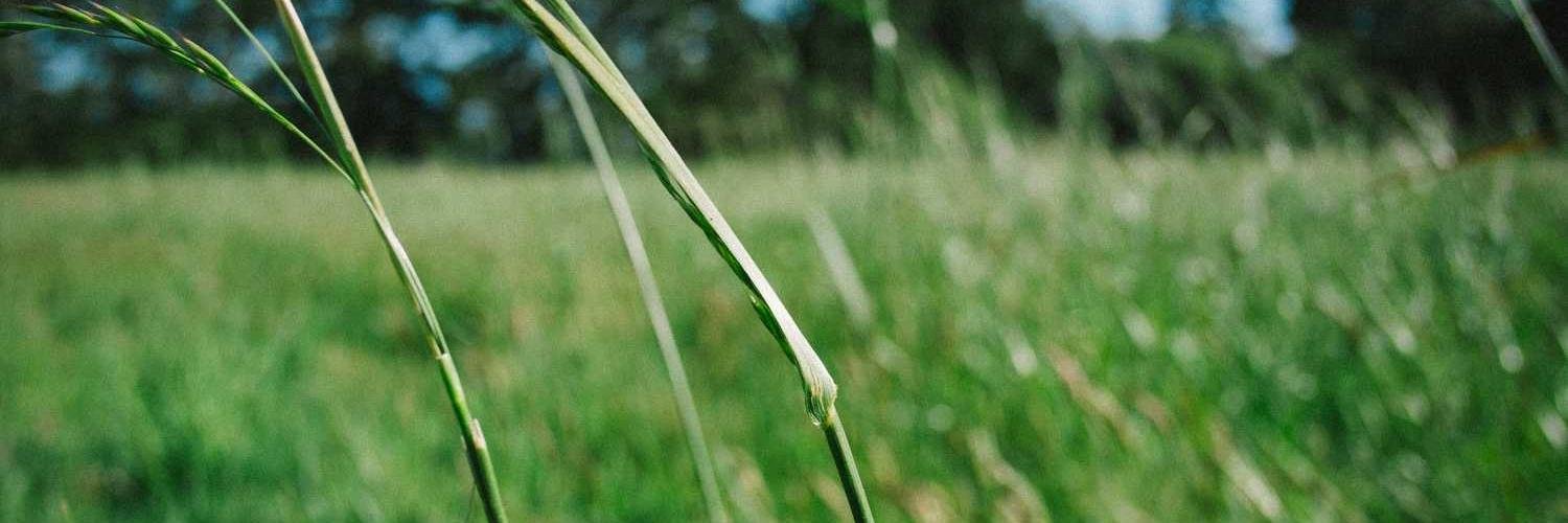 haimeabc's profile banner image