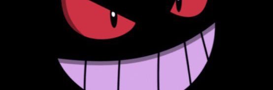 pleid0schipe4ada banner