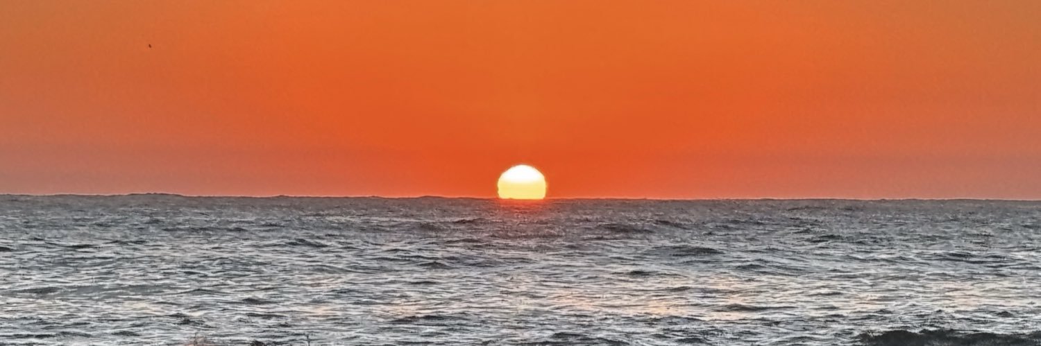 rejavolution's profile banner image
