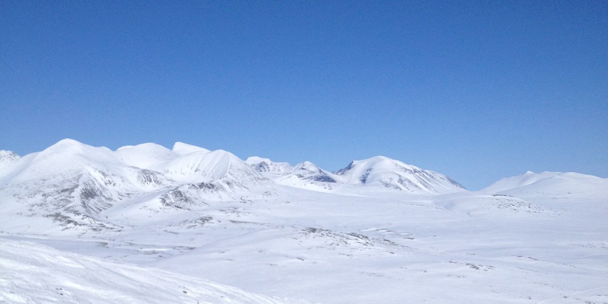 Christian Høie Lie banner