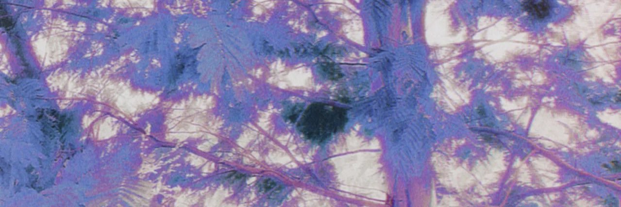 Leiwooogas banner