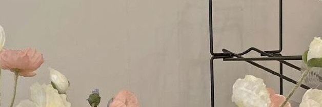 star girl🌹 banner