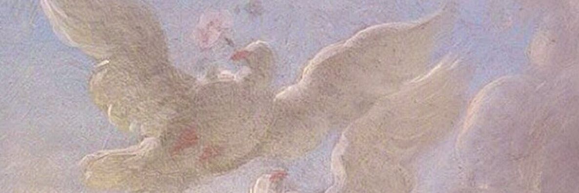 timidfeather's profile banner image