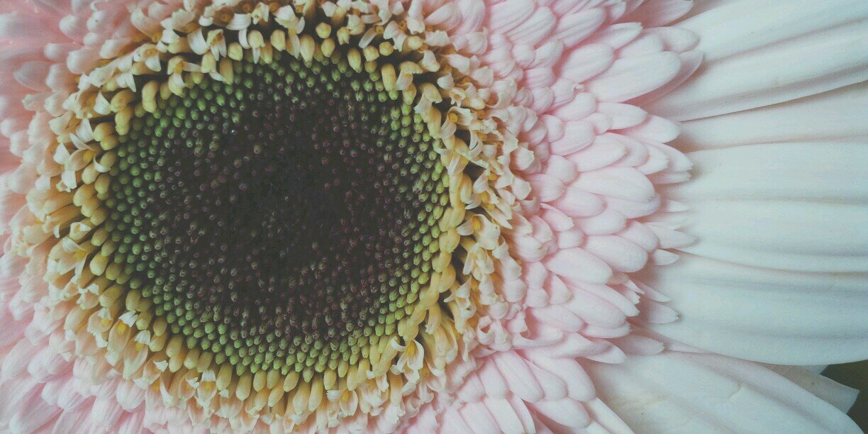 Dyah Putri Marlyna banner