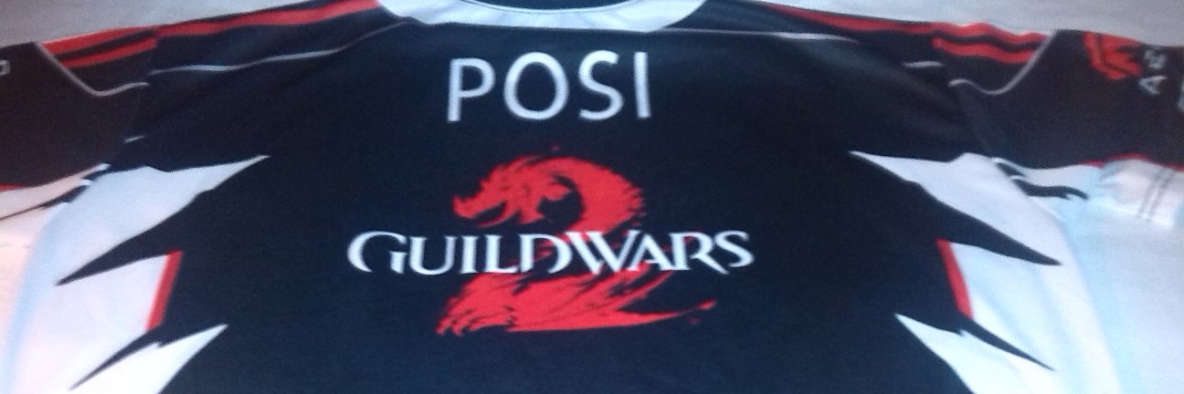 gw2Posi's profile banner image
