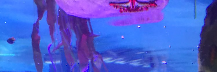 _isobeltaylor's profile banner image