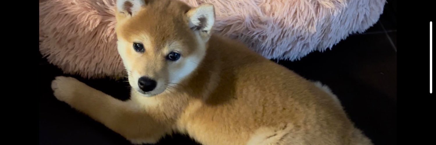 Maikerint00's profile banner image