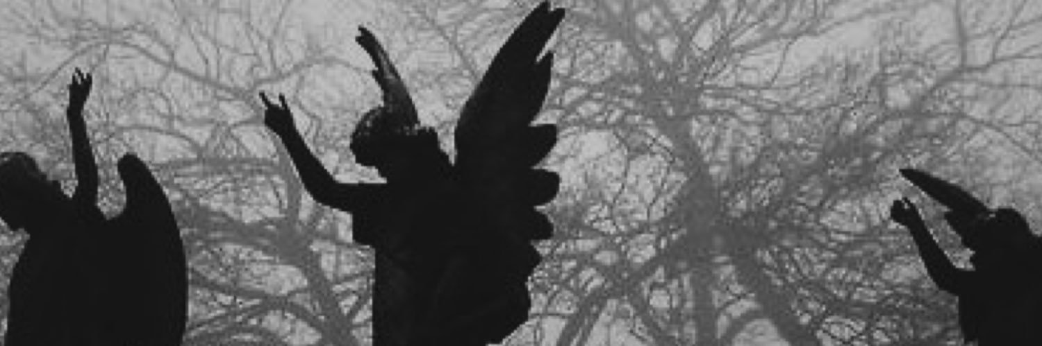 filesRare's profile banner image