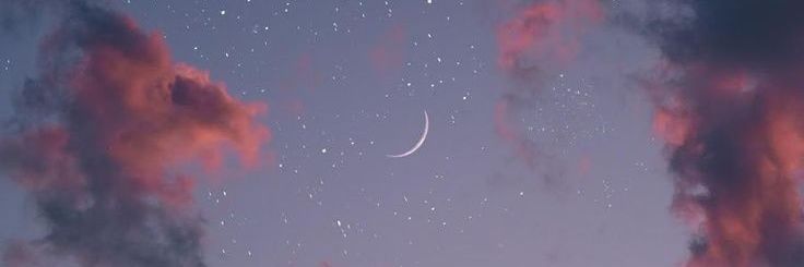 palomasands's profile banner image