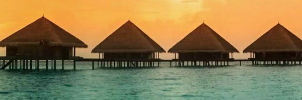 Shabnam44806561 Profile Banner