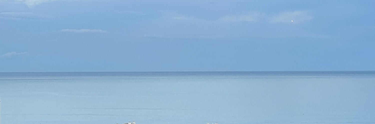 EsfandiaryP's profile banner image