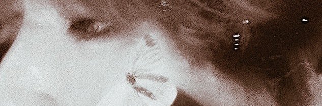 Zane banner