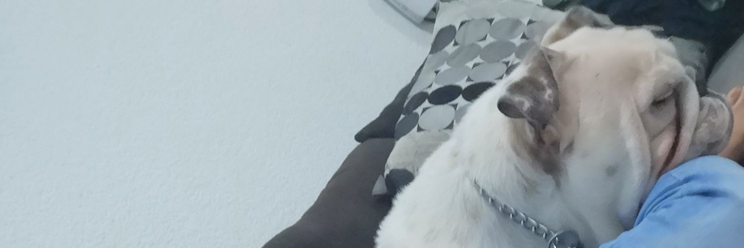 fanypinacho's profile banner image