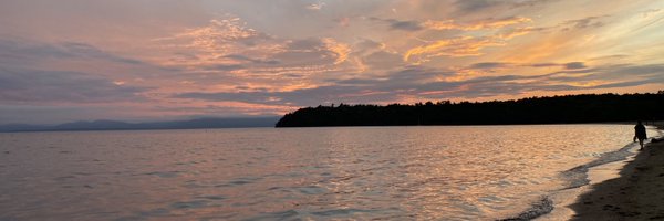 pandycakez Profile Banner