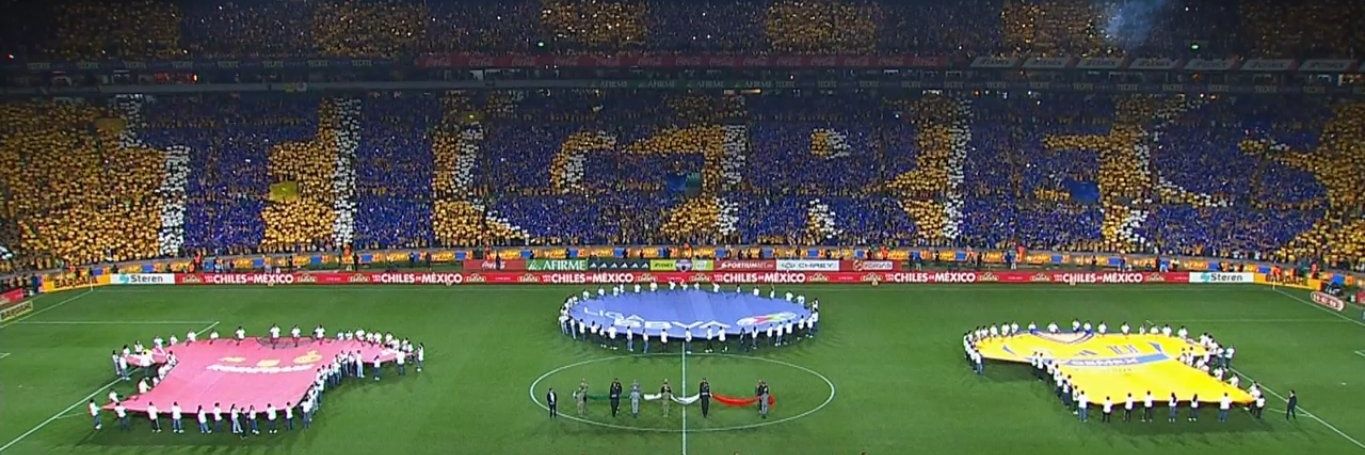 Green Shark 🦖 banner