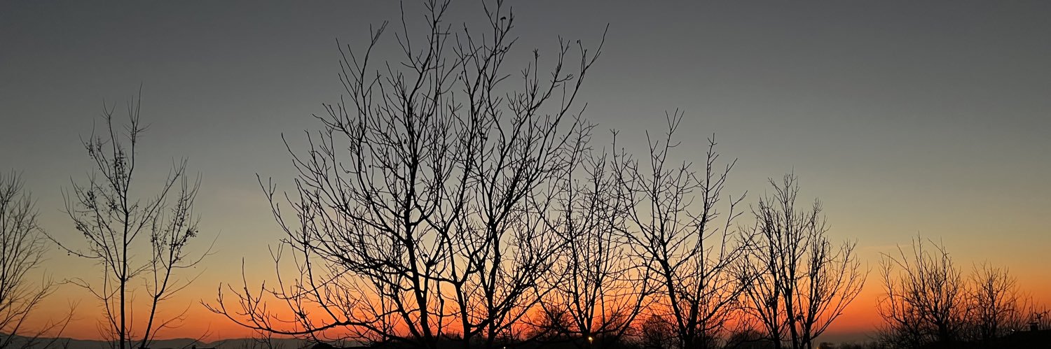 orkuncbn's profile banner image