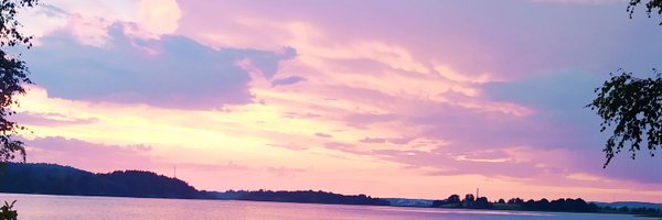 kiwiart14 Profile Banner