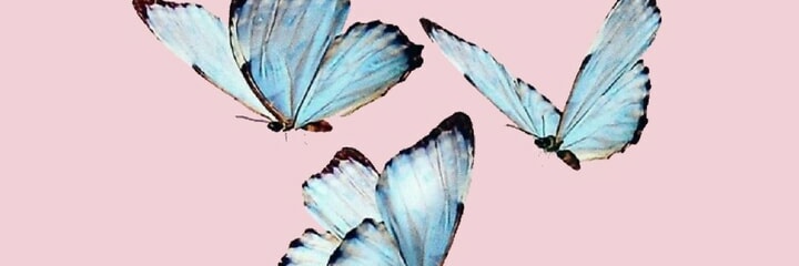 Megareghina's profile banner image