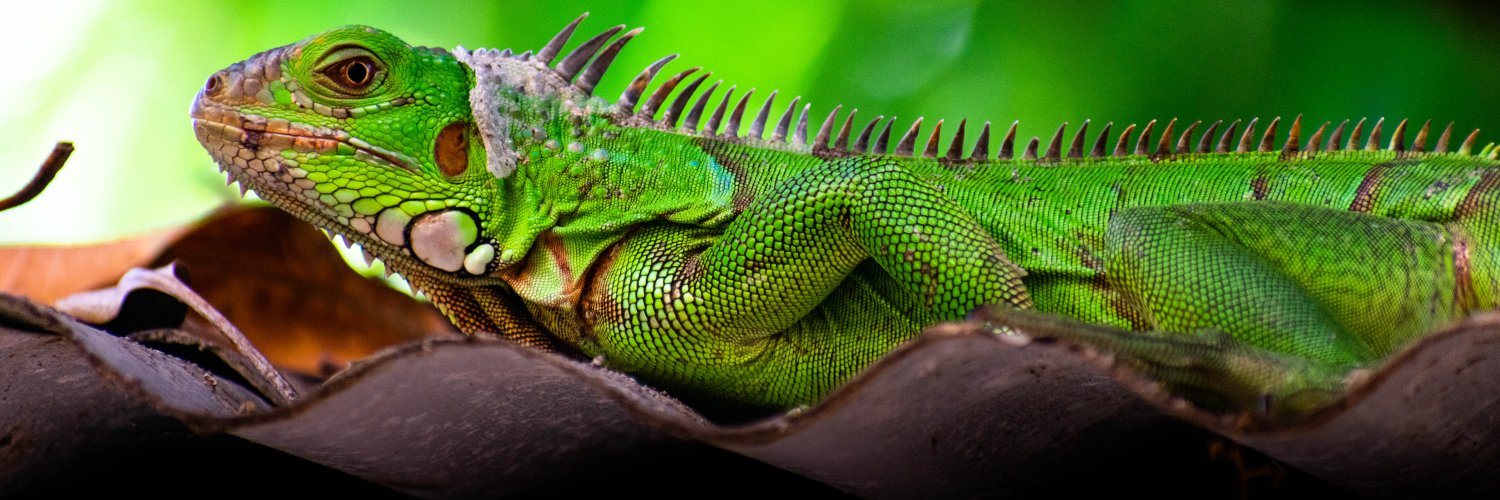 Lewin alejandroespinal banner