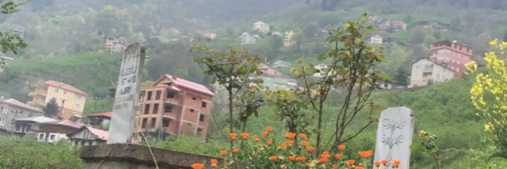 moazmoha's profile banner image