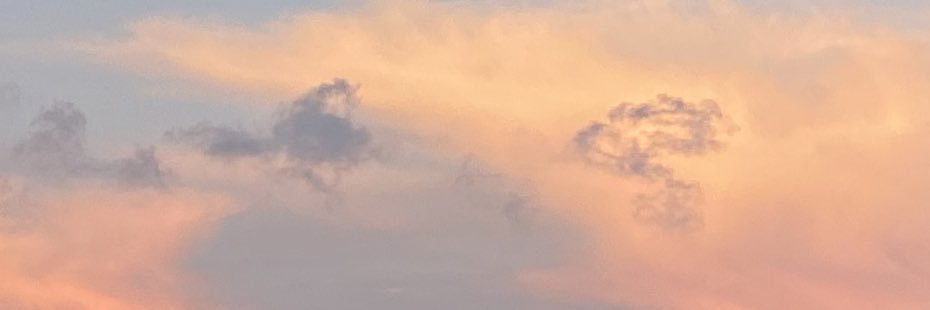 paytonfowler_'s profile banner image