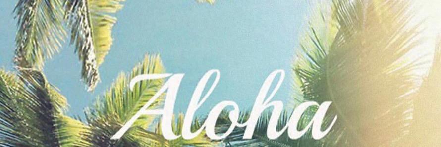 kukui_nuts's profile banner image