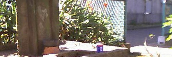 tagachangg Profile Banner